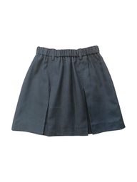 Blue Pleated Skirt