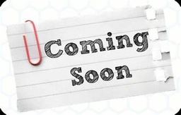 Women's Blue Culottes with Zipper